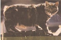 Photograph by: Eric Wood